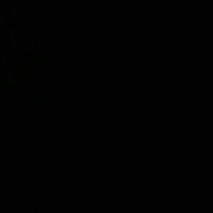 Meet your Posher, Maddie